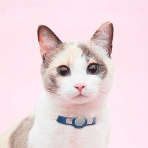 Pet Collar for Air tag Case Apple Silicone Airtag Dog Cat Adjustable Strap Cute